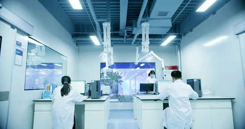 信息技術(shù)咨詢服務(wù)助力企業(yè)應(yīng)對(duì)阿斯巴甜2B類(lèi)致癌物新規(guī)